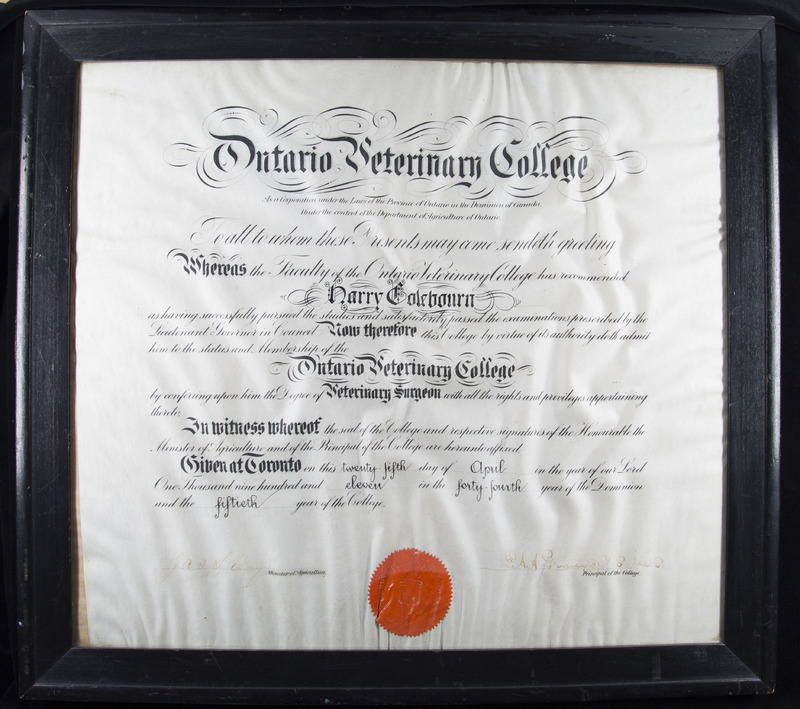Harry Colebourn's Diploma from the Ontario Veterinary College