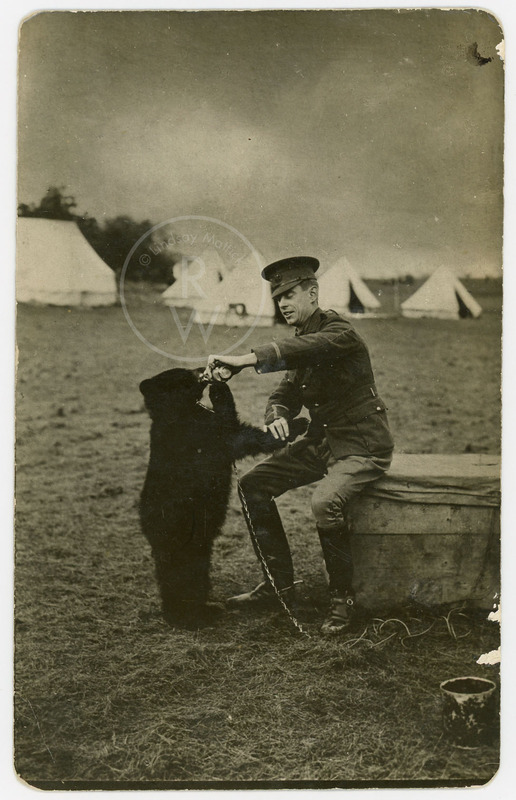 Postcard of Harry Colebourn feeding Winnie