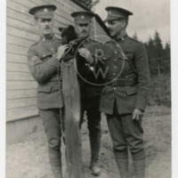 Soldiers with bear cub