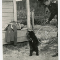 Francis Barber Starkey with bear cub